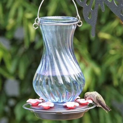 Image showing  Perfect Pitcher Antique Glass Hummingbird Feeder, 32 oz.