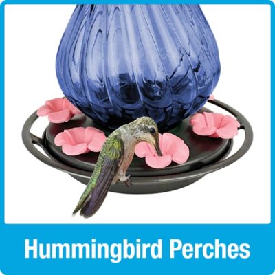 Image showing 9 th Nature's Way Perfect Pitcher Antique Glass Hummingbird Feeder, 32 oz.
