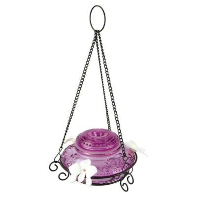 Nature's Way Plum Antique Top-Fill Hummingbird Glass Feeder, 14 oz.