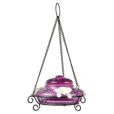 Image showing  Plum Antique Top-Fill Hummingbird Glass Feeder, 14 oz.