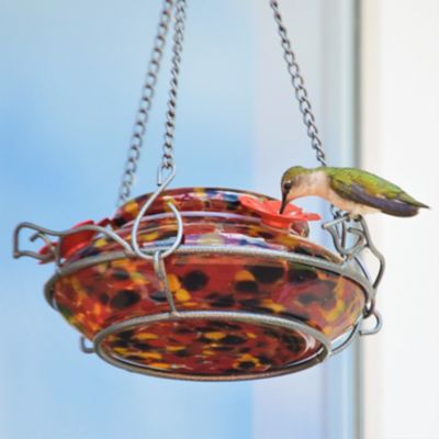 Image showing  Molten Top Fill Hummingbird Glass Feeder, 16 oz.