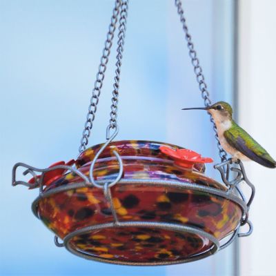 Image showing  Molten Top Fill Hummingbird Glass Feeder, 16 oz.