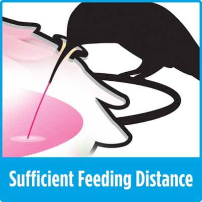 Image showing 8 th Nature's Way Molten Top Fill Hummingbird Glass Feeder, 16 oz.