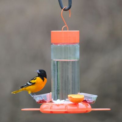 Image showing  Orange Blossom Glass Oriole Feeder with Jelly Attachments, 30 oz.