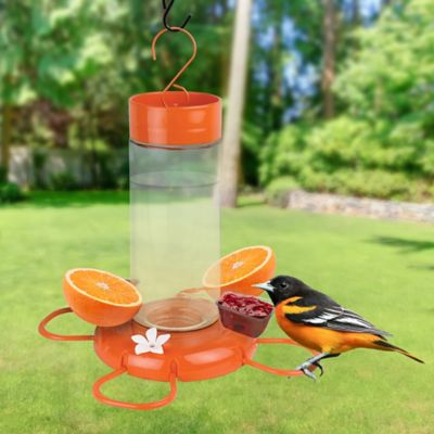 Image showing  Orange Blossom Glass Oriole Feeder with Jelly Attachments, 30 oz.