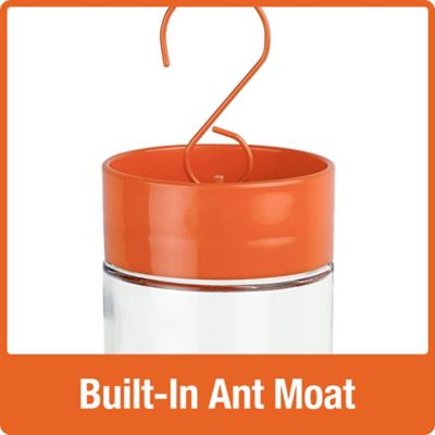 Image showing  Orange Blossom Glass Oriole Feeder with Jelly Attachments, 30 oz.