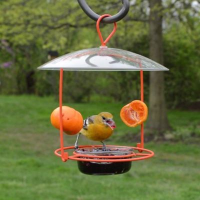Image showing  Oriole Wire Feeder 3/4 Cup