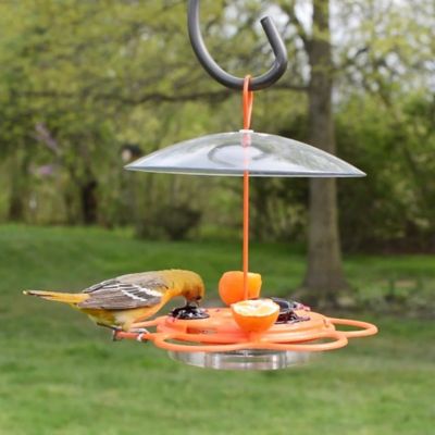 Image showing  Oriole All in One Buffet Plastic Feeder, 12 oz.