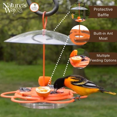 Image showing  Oriole All in One Buffet Plastic Feeder, 12 oz.