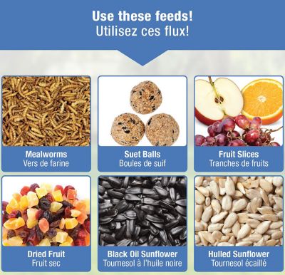 Image showing 5 th Nature's Way Bluebird Buffet 3/4 Cup