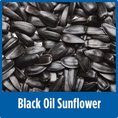 Image showing 7 th Nature's Way Bluebird Buffet 3/4 Cup