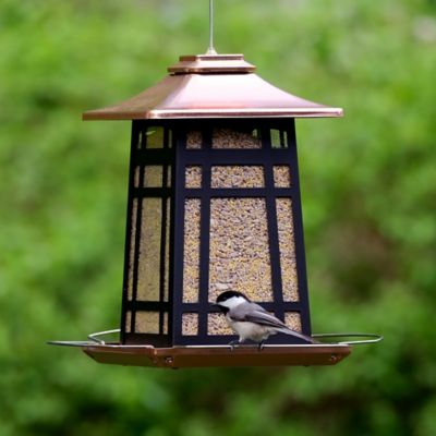 Image showing  Copper Arches Metal Gazebo, 3.3 qt.