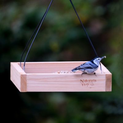 Image showing  Cedar Tray Bird Feeder