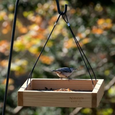 Image showing  Cedar Tray Bird Feeder