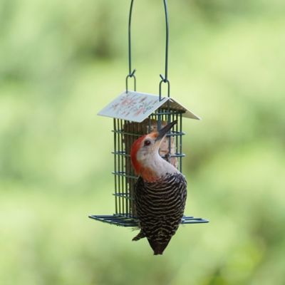 Image showing  Decorative Metal Suet Cage Bird Feeder 1 Cake