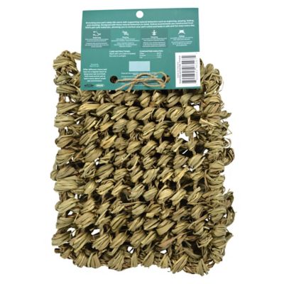 Image showing  Timothy CLUB Hide and Seek Small Pet Mat, Small