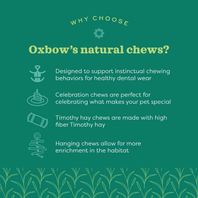 Image showing  Timothy CLUB Hide and Seek Small Pet Mat, Small