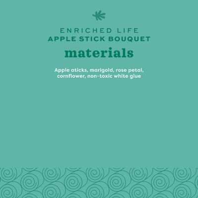 Image showing  Enriched Life Apple Stick Bouquet Small Animal Chew