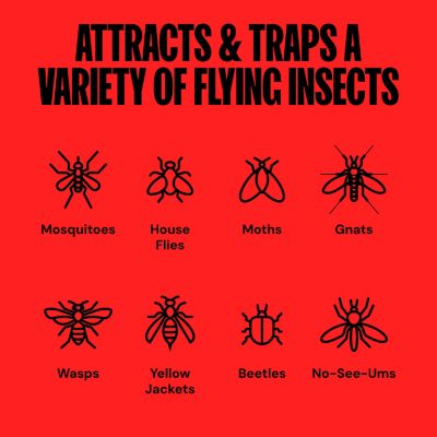 Image showing  1/2 Acre Outdoor Insect Trap