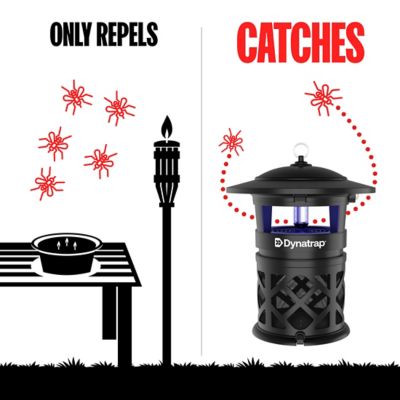 Image showing 5 th Dynatrap 1 Acre Outdoor Insect Trap