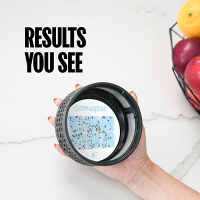 Image showing 8 th Dynatrap LED Indoor Insect Trap