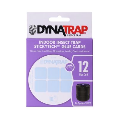 Dynatrap Refill Indoor Insect Trap - 12 pk.