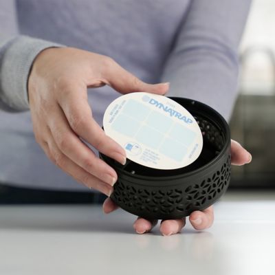 Image showing  Refill Indoor Insect Trap - 12 pk.