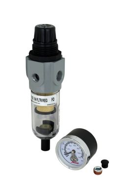 Image showing  Mini Heavy-Duty Air Filter Pressure Regulator Piggyback Combo, 1/4 in. NPT Compressed Air System, 250 PSI