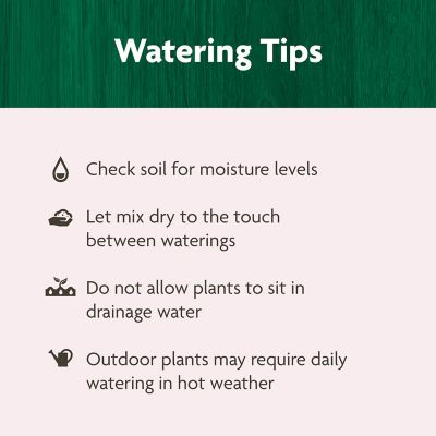 Image showing 8 th Miracle-Gro Organic Raised Bed and Garden Soil, 1 cu. ft.