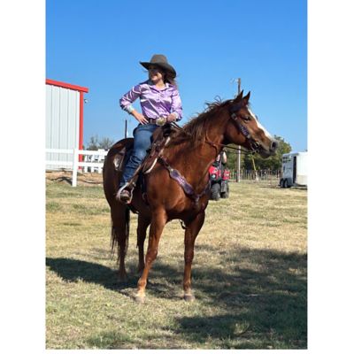 Image showing  Interchangeable Tack Set