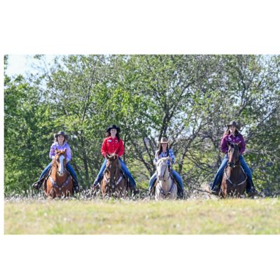 Image showing 7 th SmarTack Interchangeable Tack Set