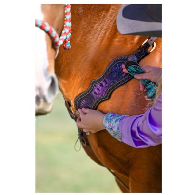 Image showing 6 th SmarTack Interchangeable Tack Set