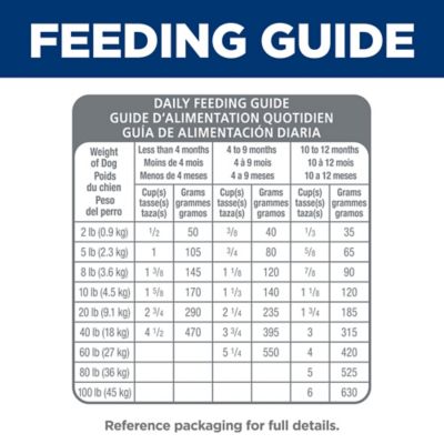 Image showing 6 th Hill's Science Diet Puppy Sensitive Stomach & Skin Salmon & Brown Rice Recipe Dry Dog Food