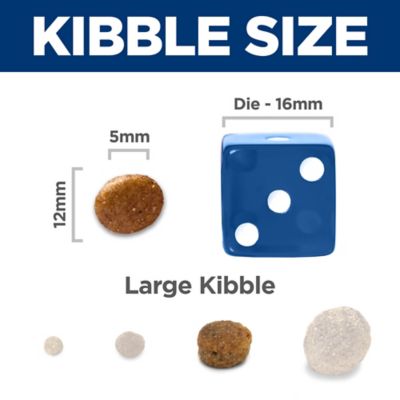 Image showing  Adult Salmon & Brown Rice Recipe Dry Dog Food