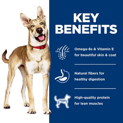 Image showing 2 th Hill's Science Diet Adult Salmon & Brown Rice Recipe Dry Dog Food