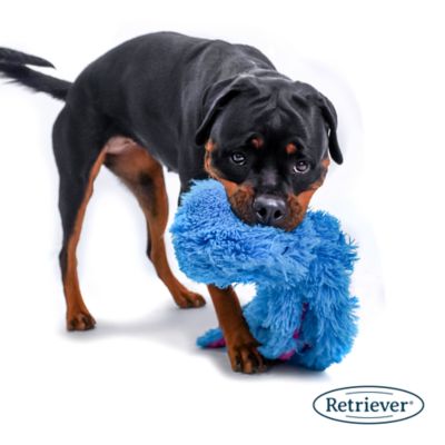 Image showing  26 in. Plush Octopus Dog Toy, Assorted Colors