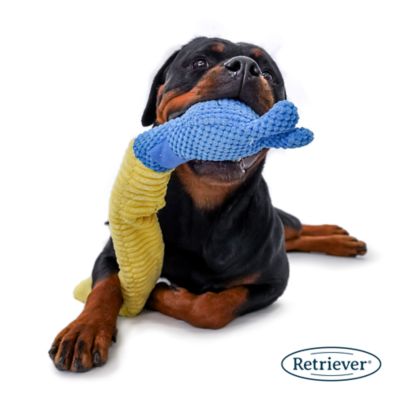 Image showing  Snuffle Plush Dog Toy, Assorted Styles