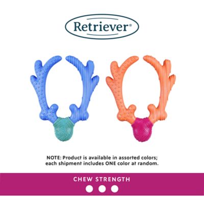 Image showing  Nylon Antler Dog Chew Toy, Assorted Colors