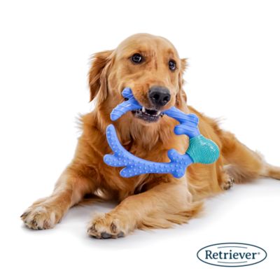 Image showing  Nylon Antler Dog Chew Toy, Assorted Colors