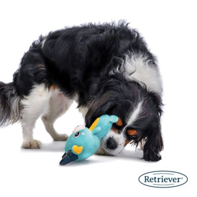 Image showing  2-in-1 Puppy Plushie Dog Toy, Assorted Styles