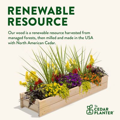 Image showing  Cedar Wood Planter Box with Rail Mount Brackets