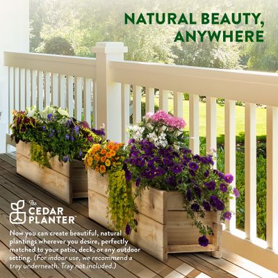Image showing  Cedar Wood Planter Box with Rail Mount Brackets, 2-Pack