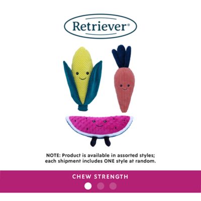 Image showing  Veggie Plush Dog Toy, Assorted Styles