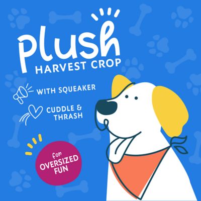 Image showing  Veggie Plush Dog Toy, Assorted Styles