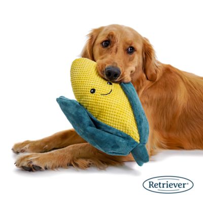 Image showing  Veggie Plush Dog Toy, Assorted Styles