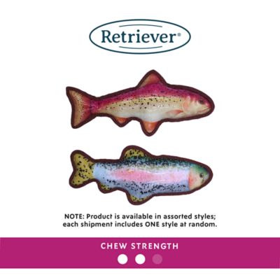 Image showing  Tough Trout Dog Toy, Assorted Styles