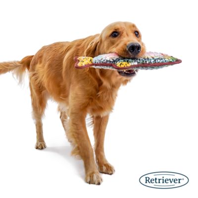 Image showing  Tough Trout Dog Toy, Assorted Styles