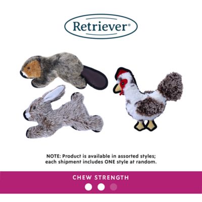 Image showing  Furry Critter Plush Dog Toy, Assorted Styles