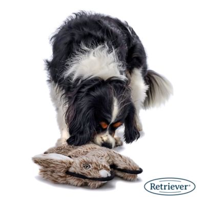 Image showing  Furry Critter Plush Dog Toy, Assorted Styles