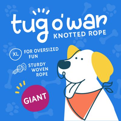 Image showing  Square Knot Tug Rope Dog Toy, 26 in. XL, Assorted Colors